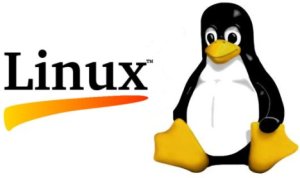 Linux Emblem